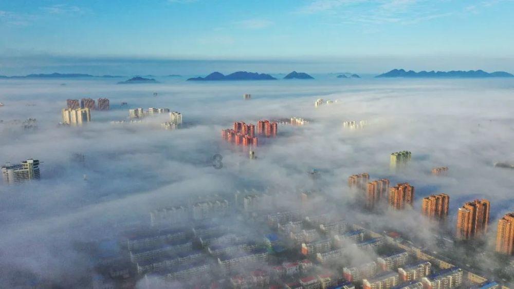 九龙坡:非遗闹春年味浓